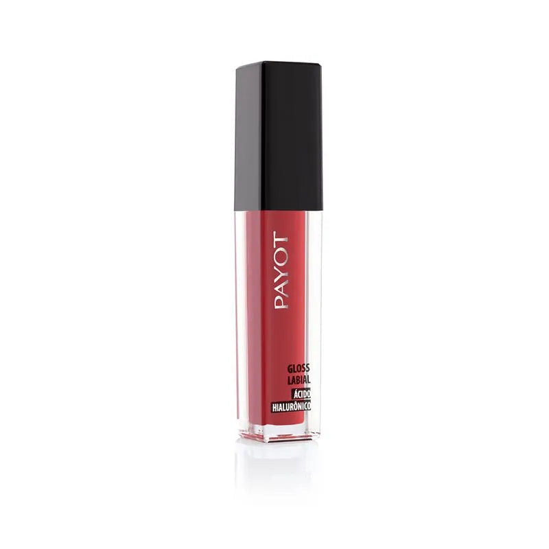 Gloss labial